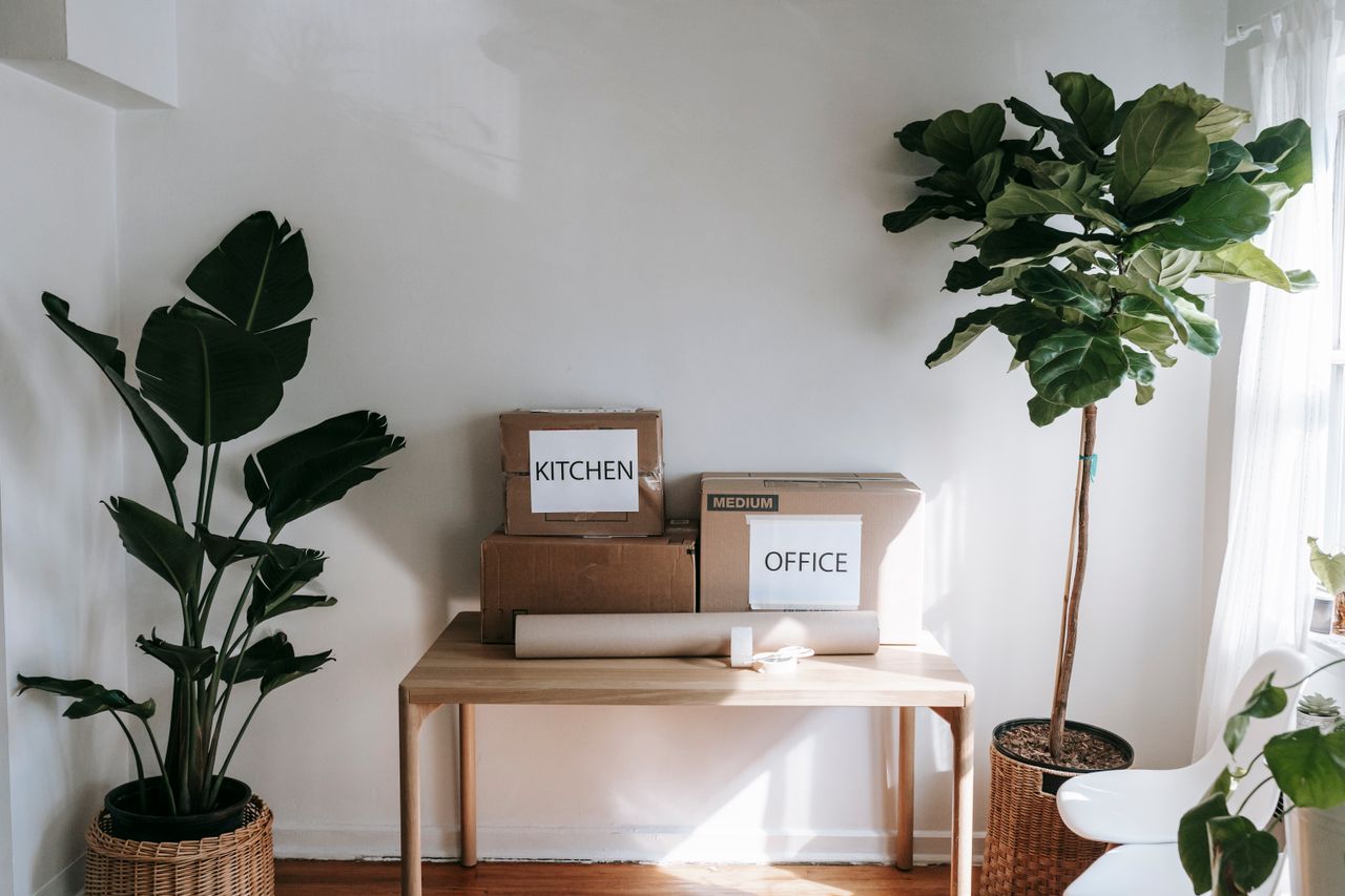 about-us Stylish interior with moving boxes labeled Kitchen and Office on a wooden table surrounded by houseplants.